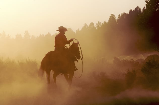 AdobeStock_3270800.jpeg