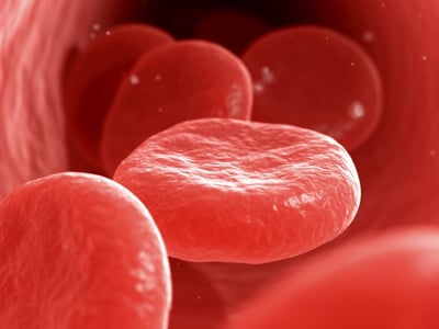 Blood